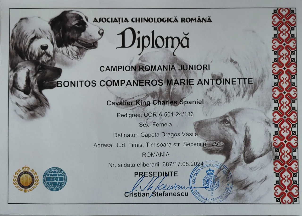 Diplomă România Bonitos Companeros Marie Antoinette (Luna)
