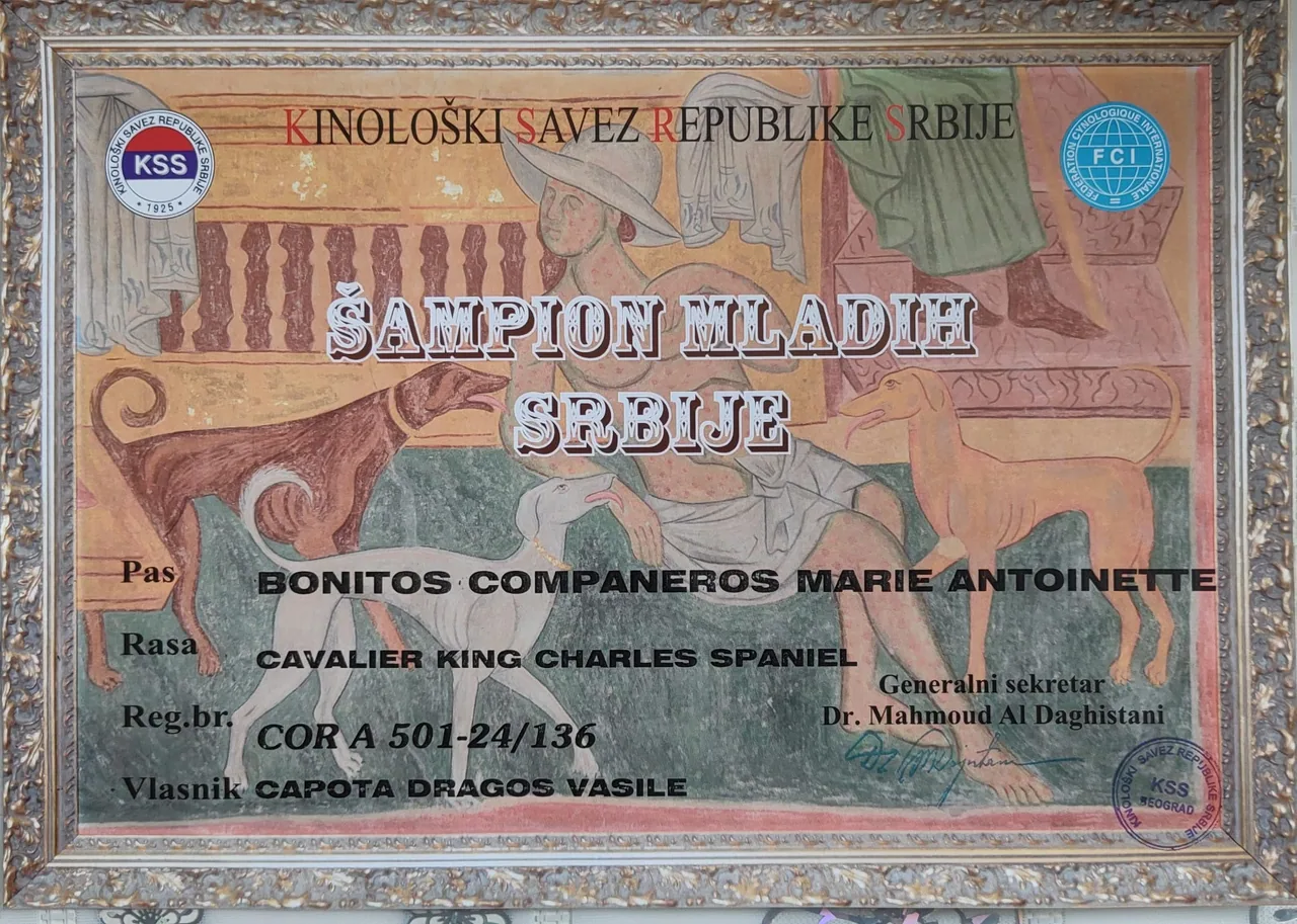 Diplomă Serbia Bonitos Companeros Marie Antoinette (Luna)