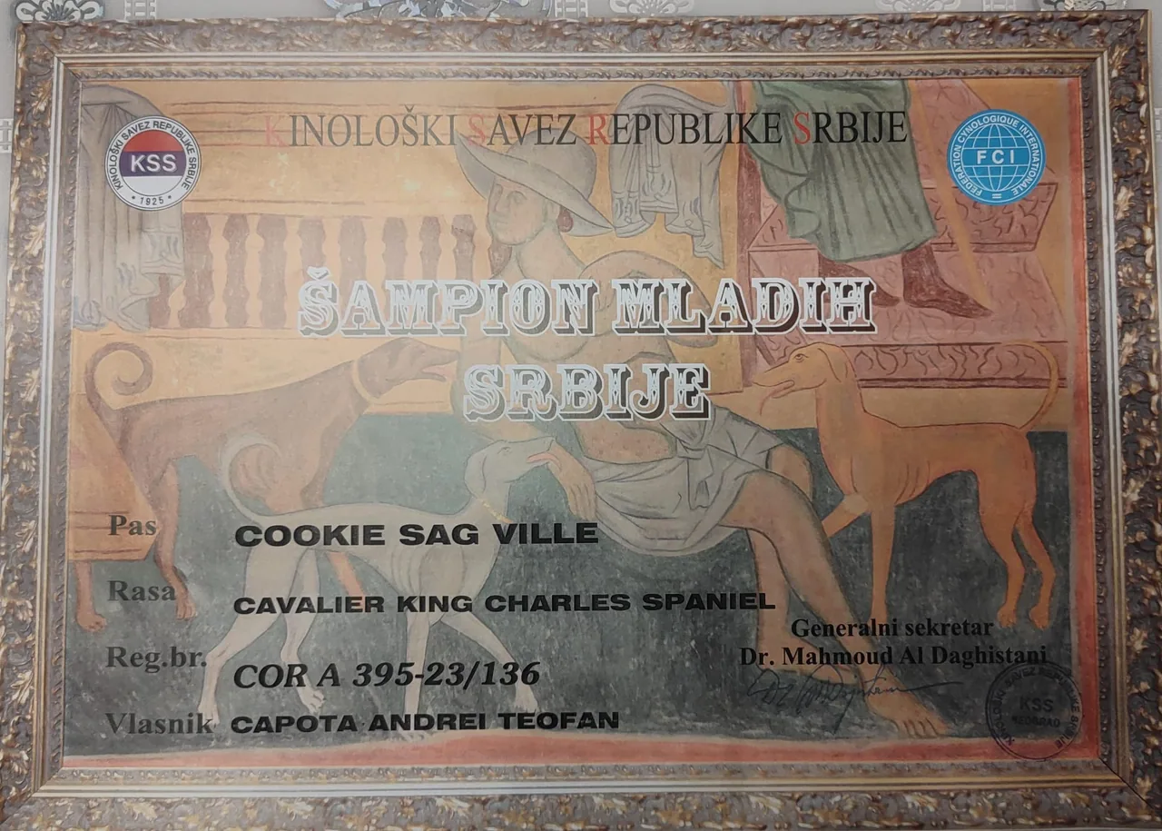 Diplomă Serbia Cookie Sag Ville