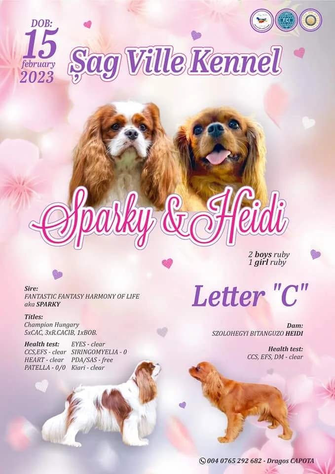 Cuibul C — Sparky & Heidi