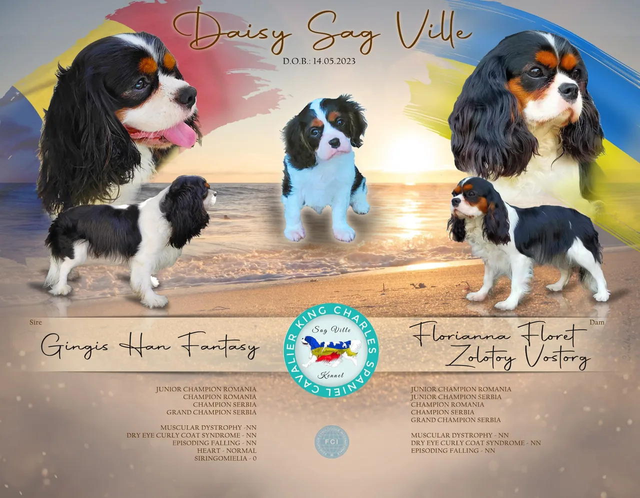 Cuibul D — Sag Ville Kennel