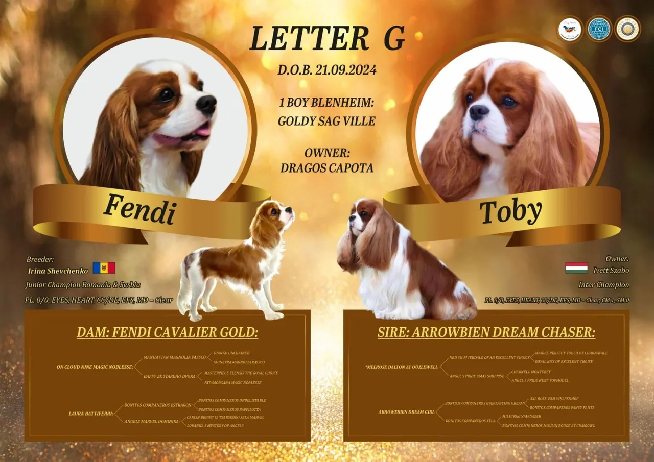 Prezentarea cuibului G — Sag Ville Kennel