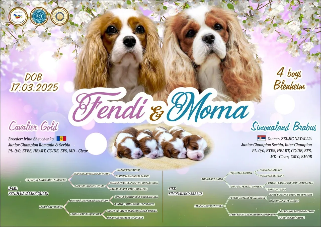Prezentarea cuibului K — Sag Ville Kennel