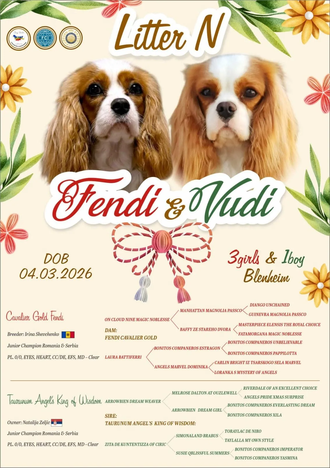 Cuibul N Sag Ville Kennel