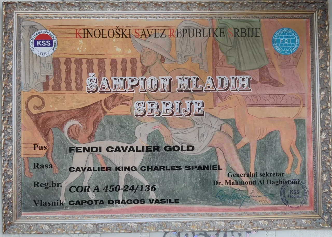 Diplomă Serbia Fendi Cavalier Gold