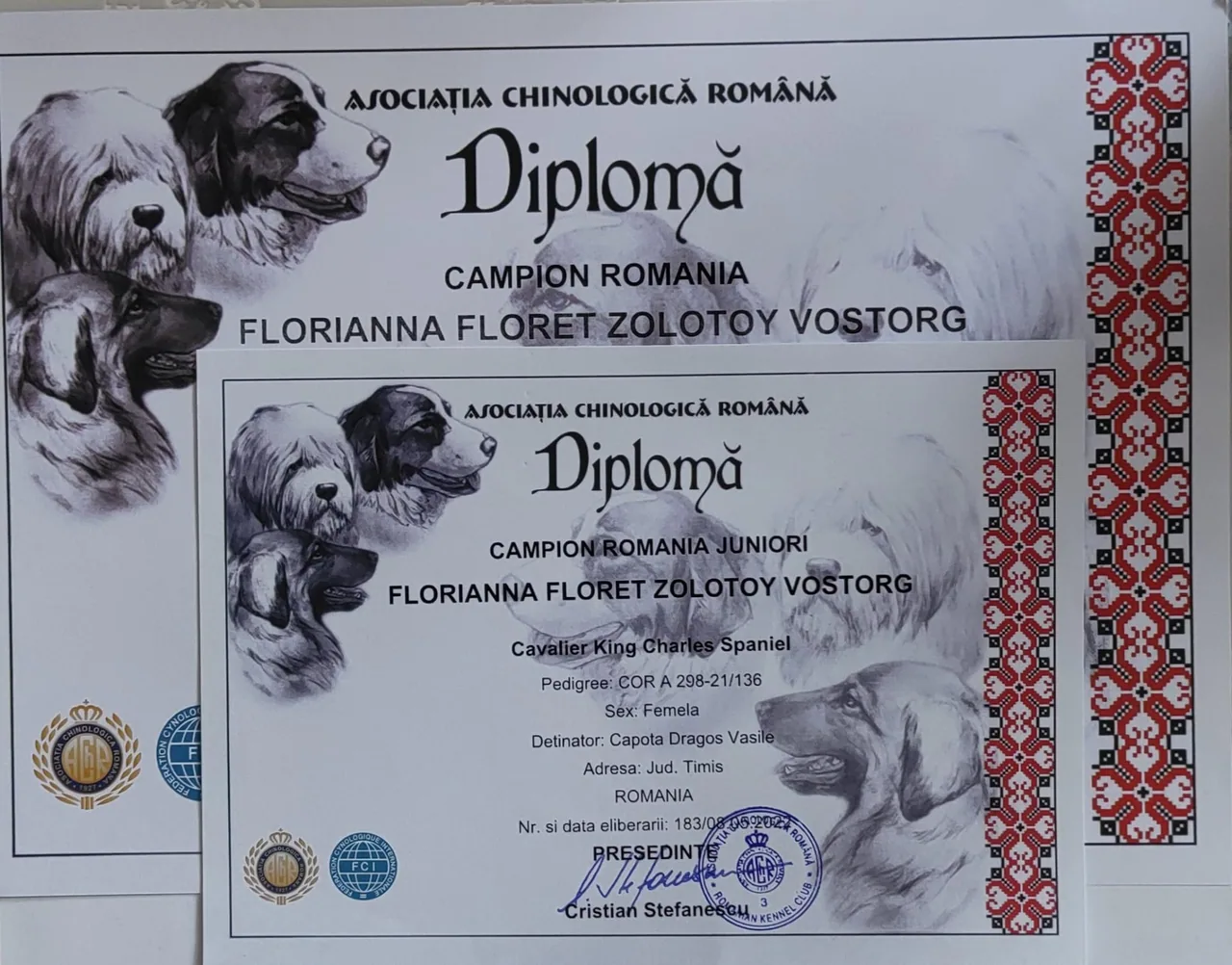 Diplome România Florianna Floret Zolotoy Vostorg