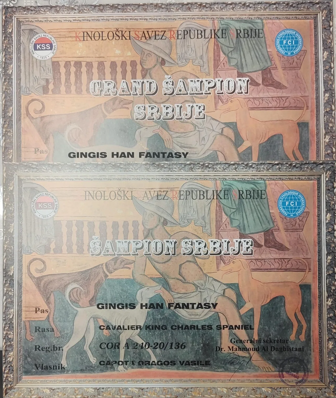 Diplome Serbia Gingis Han Fantasy (Harry)