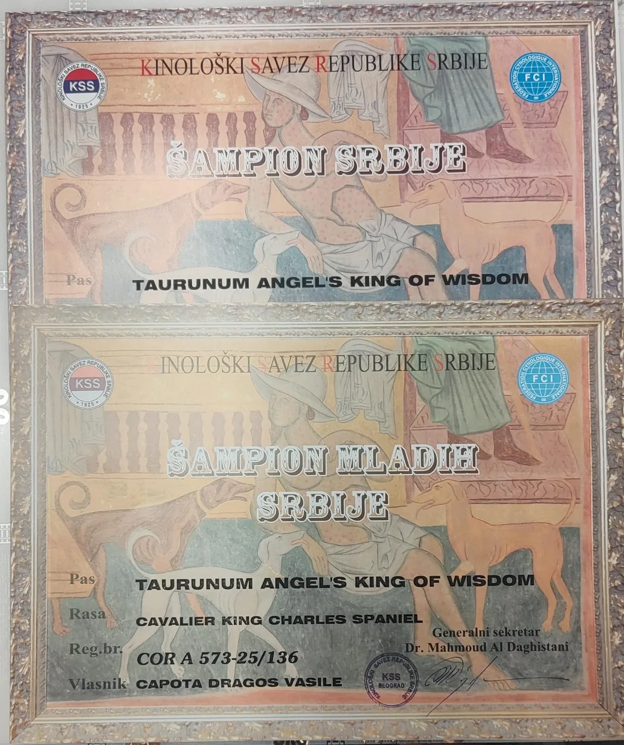 Diplome Serbia Taurunum Angel`s King of Wisdom